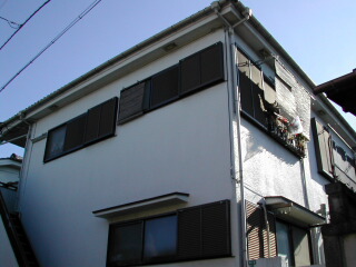 25006画像