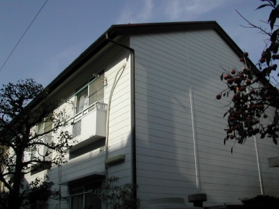 25196画像