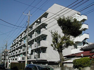 25229画像